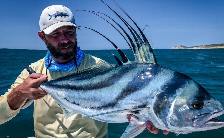 The Rooster Fish: Nature's Overclocker in a Fish Suit